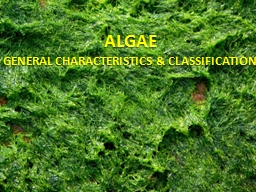 ALGAE GENERAL CHARACTERISTICS & CLASSIFICATION