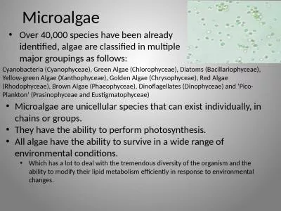 Microalgae O ver 40,000 species have been