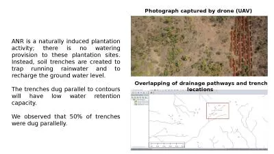 ANR is a naturally induced plantation