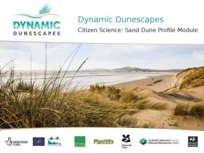 v Dynamic Dunescapes Ci tizen