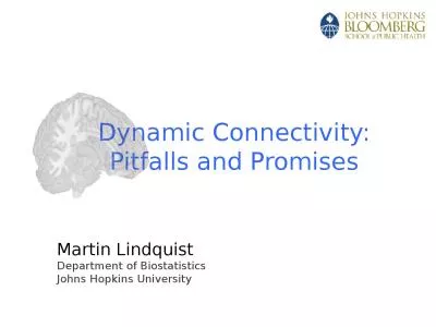 Dynamic Connectivity: Pitfalls and Promises