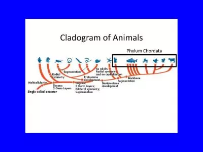 Phylum Chordata http:// learningobjects.wesleyan.edu