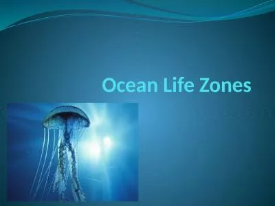 Ocean Life Zones Ocean life is determined by many factors: