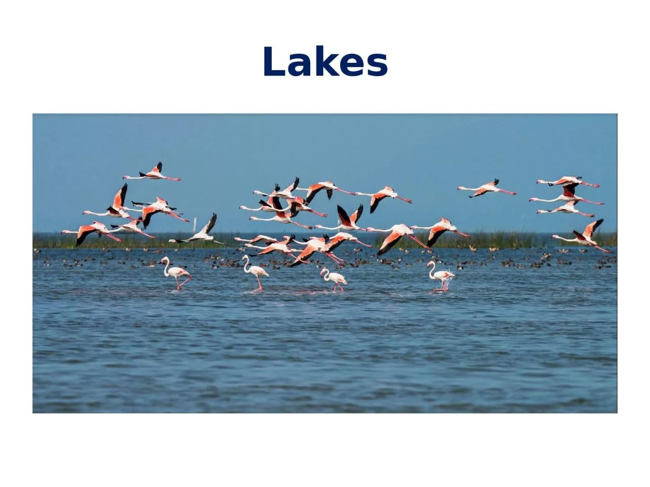 PPT-Lakes Lakes Forel (1982) defined