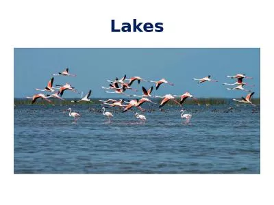 Lakes Lakes Forel  (1982) defined