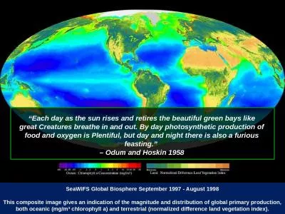 SeaWiFS  Global Biosphere September 1997 - August 1998