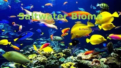 Saltwater Biome By Elyna And Chloe