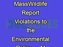 Migratory Bird Regulations for   Season MassWildlife Report Violations to the Environmental