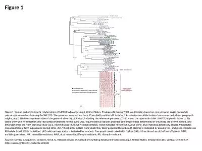 Figure 1 Figure 1. Spread and phylogenetic relationships of MDR Rhodococcus equi, United