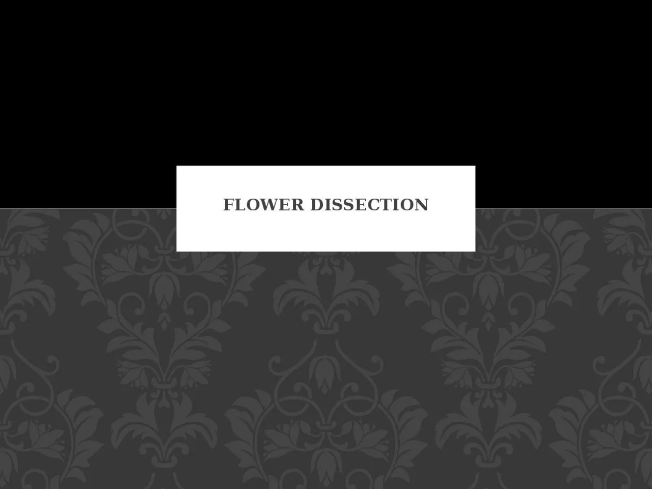 Flower Dissection The  angiosperms