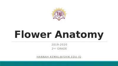 Flower Anatomy 2019-2020