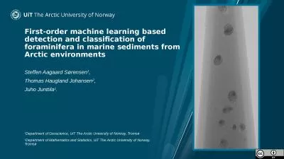 First-order machine learning based detection and classification of foraminifera in marine sediments