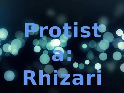 Protista :  Rhizaria What Is A