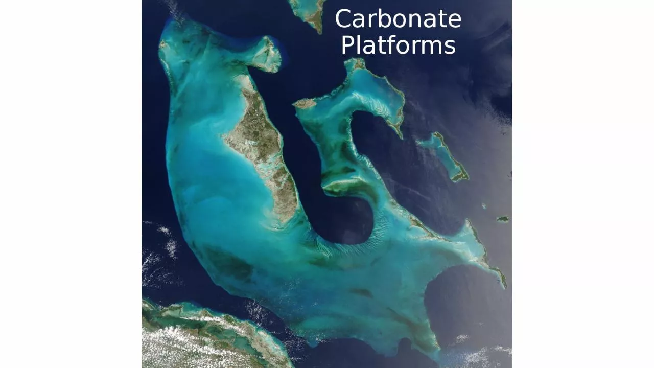 PPT-Carbonate Platforms RECAP: Carbonate Ramps