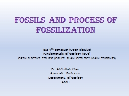 FOSSILS and process of fossilization