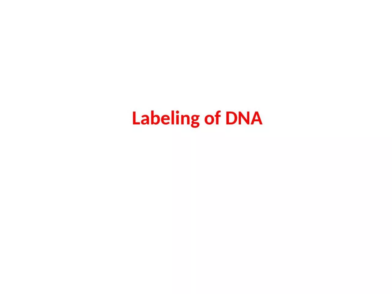 Labeling of DNA Radioactivity and stable isotopes