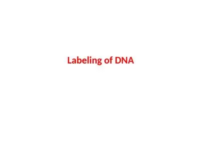 Labeling of DNA Radioactivity and stable isotopes