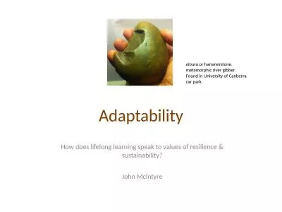 Adaptability How does  lifelong learning