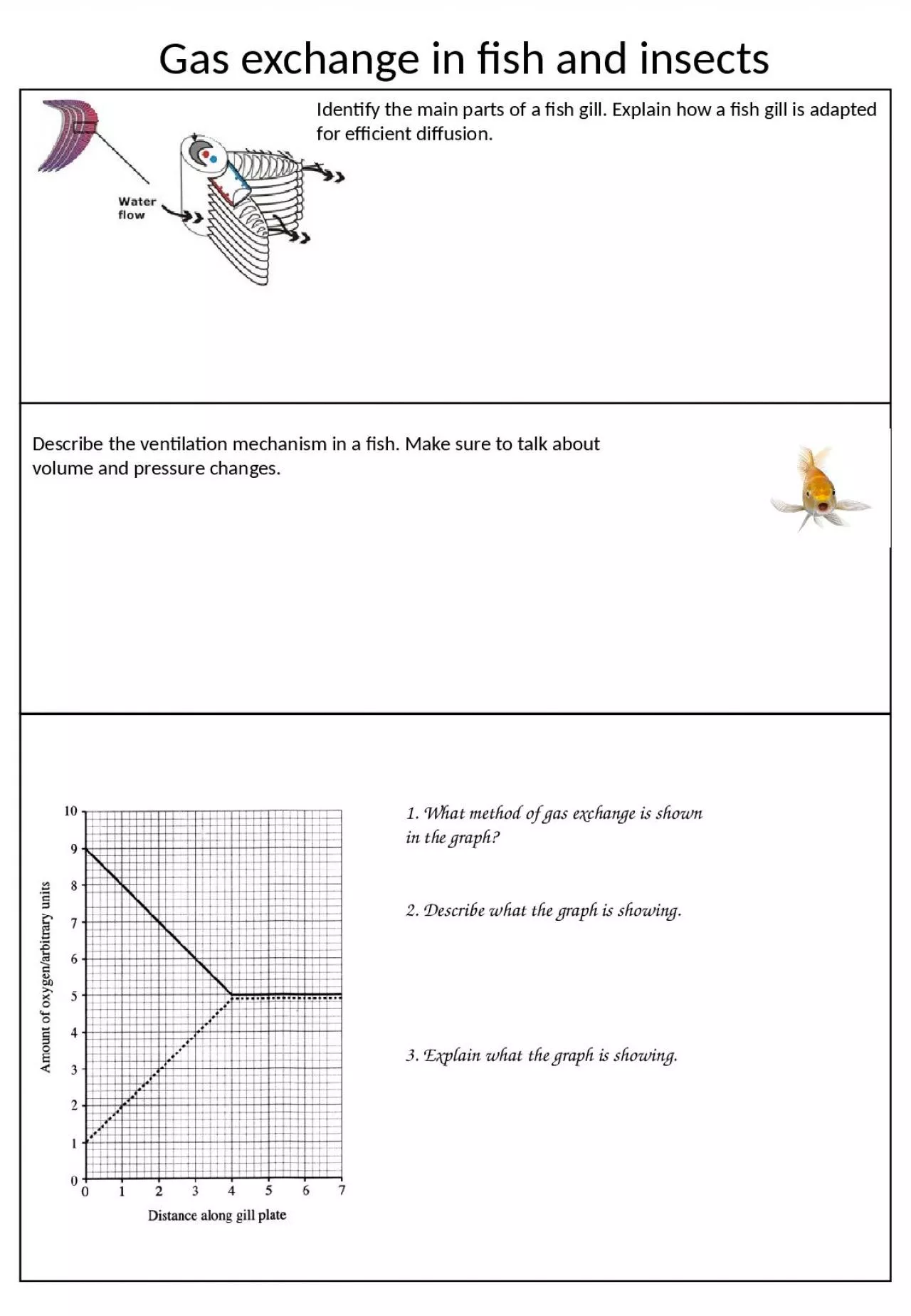 PPT-Identify the main parts of a fish gill. Explain how a fish gill is adapted for efficient