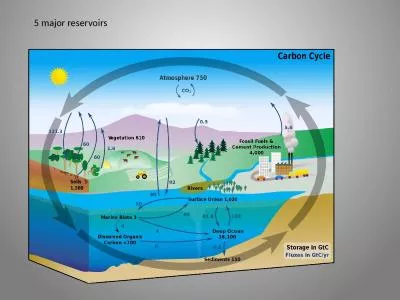 5 major  reservoirs 5 major reservoirs: atmosphere,