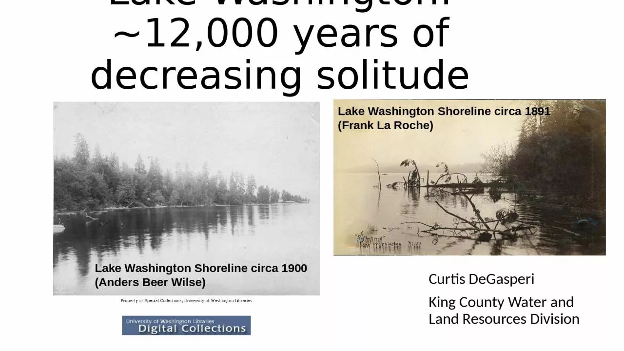 PPT-Lake Washington: ~12,000 years of decreasing solitude