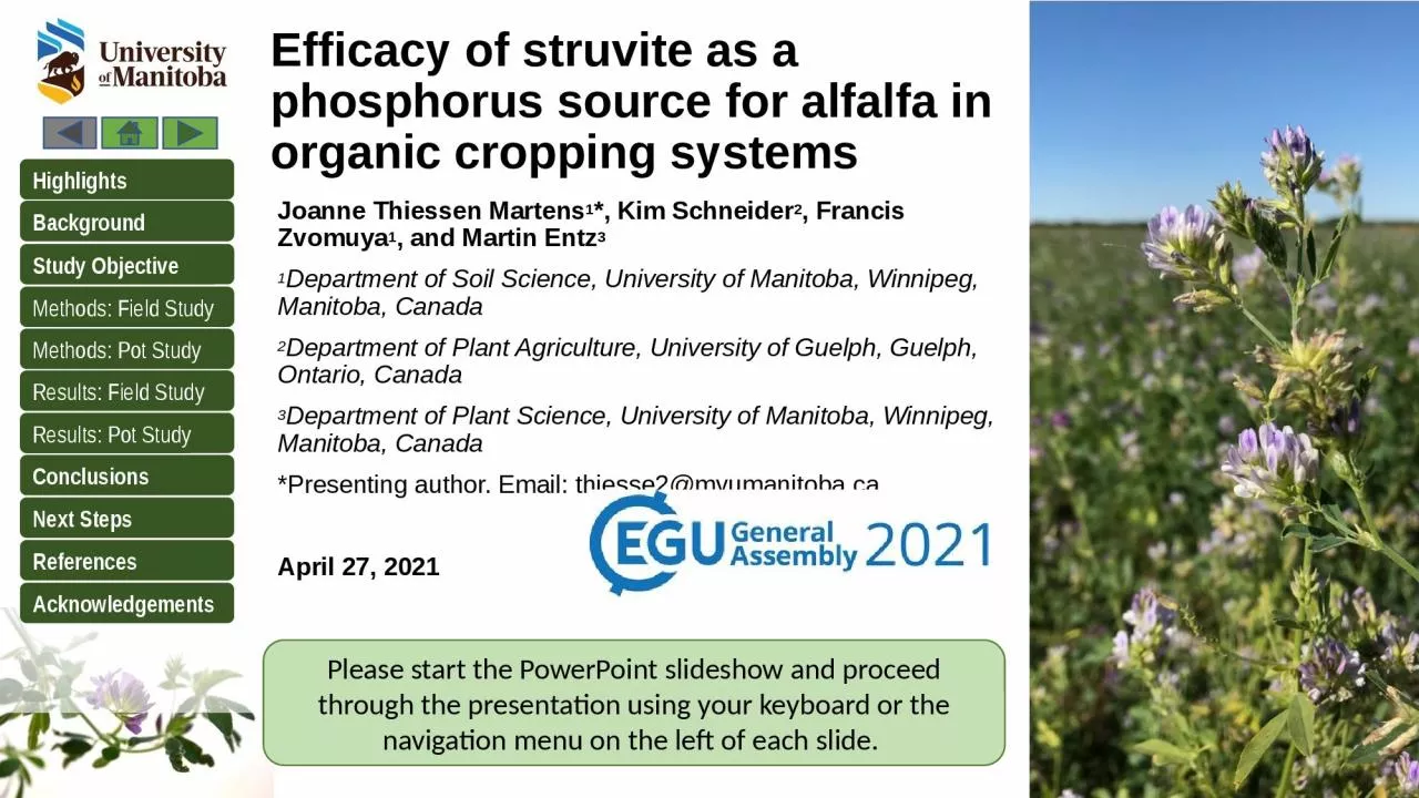 PPT-Efficacy of struvite as a phosphorus source for alfalfa in organic cropping systems