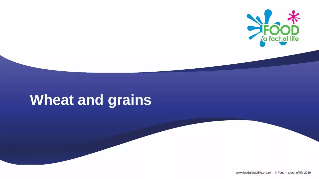 PPT-Wheat and grains Wheat Wheat is grown internationally, including the UK. The grain from