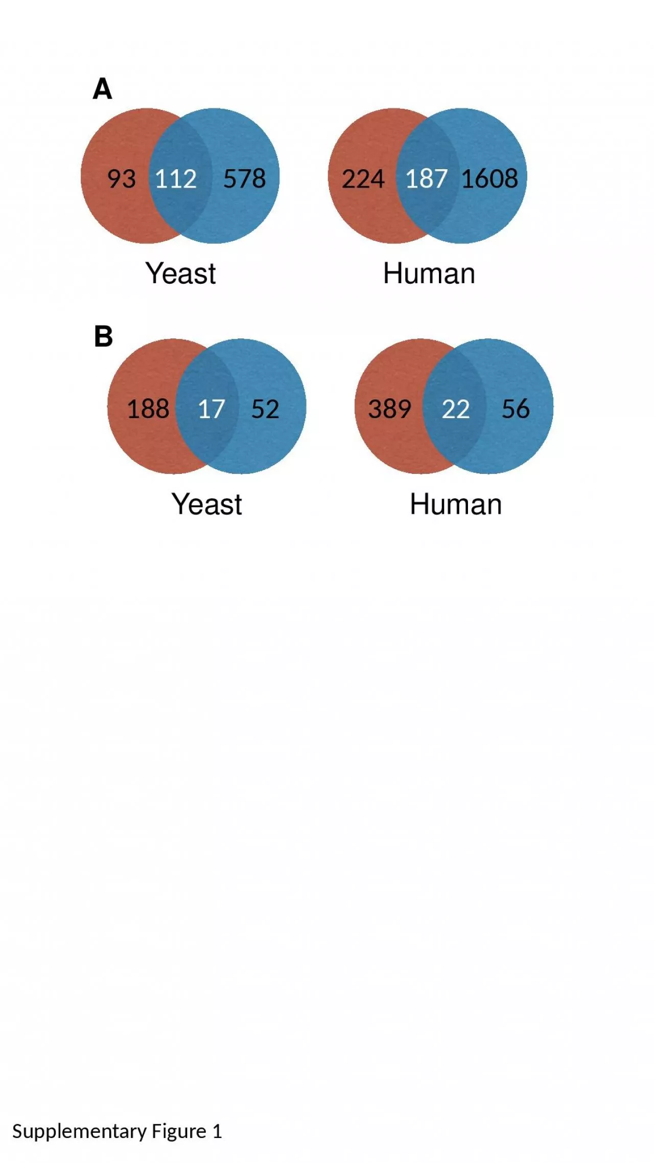 PPT-B 56 389 22 Yeast Human A