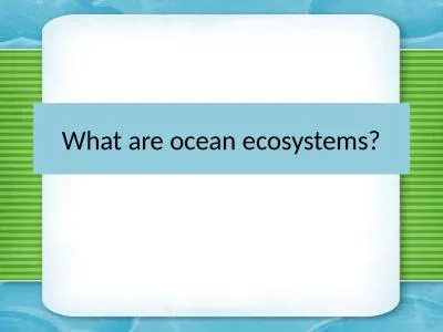 What are  ocean ecosystems?