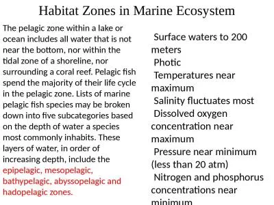 The pelagic zone within a lake or ocean includes all water that is not near the bottom,