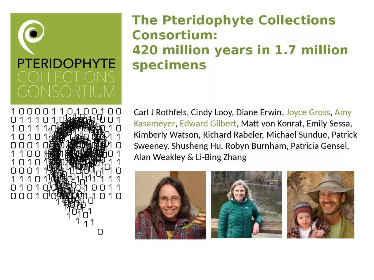 PPT-The Pteridophyte Collections Consortium: