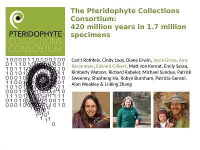 The Pteridophyte Collections Consortium: