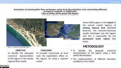 Evaluation of pond/aquifer flow exchanges using local discretization and contrasting different