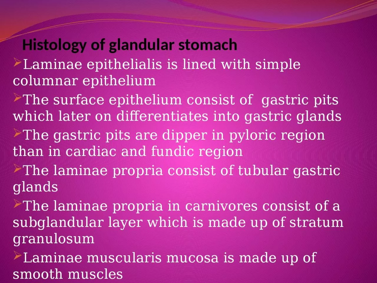 Histology of glandular stomach