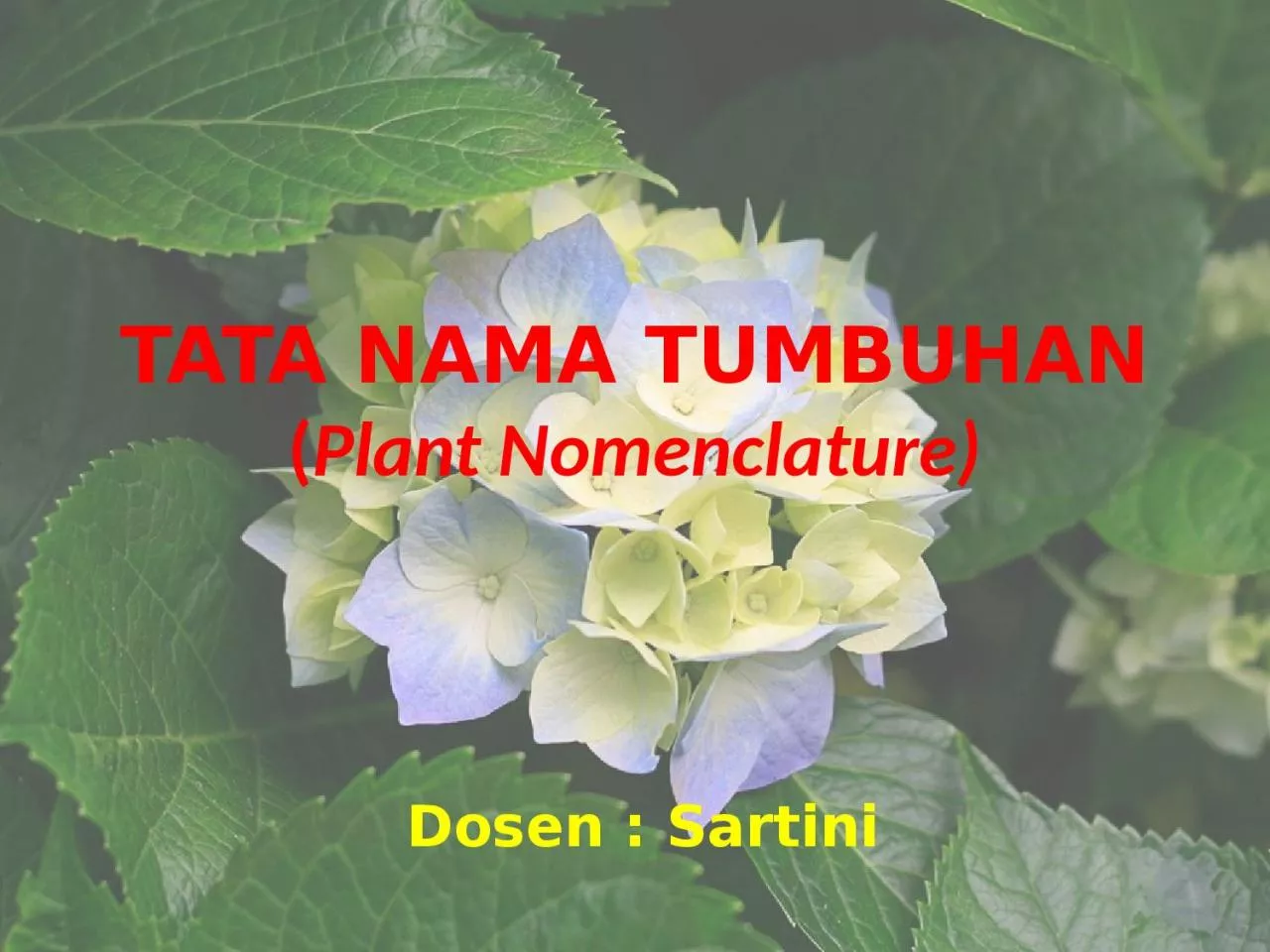 PPT-TATA NAMA TUMBUHAN ( Plant Nomenclature)