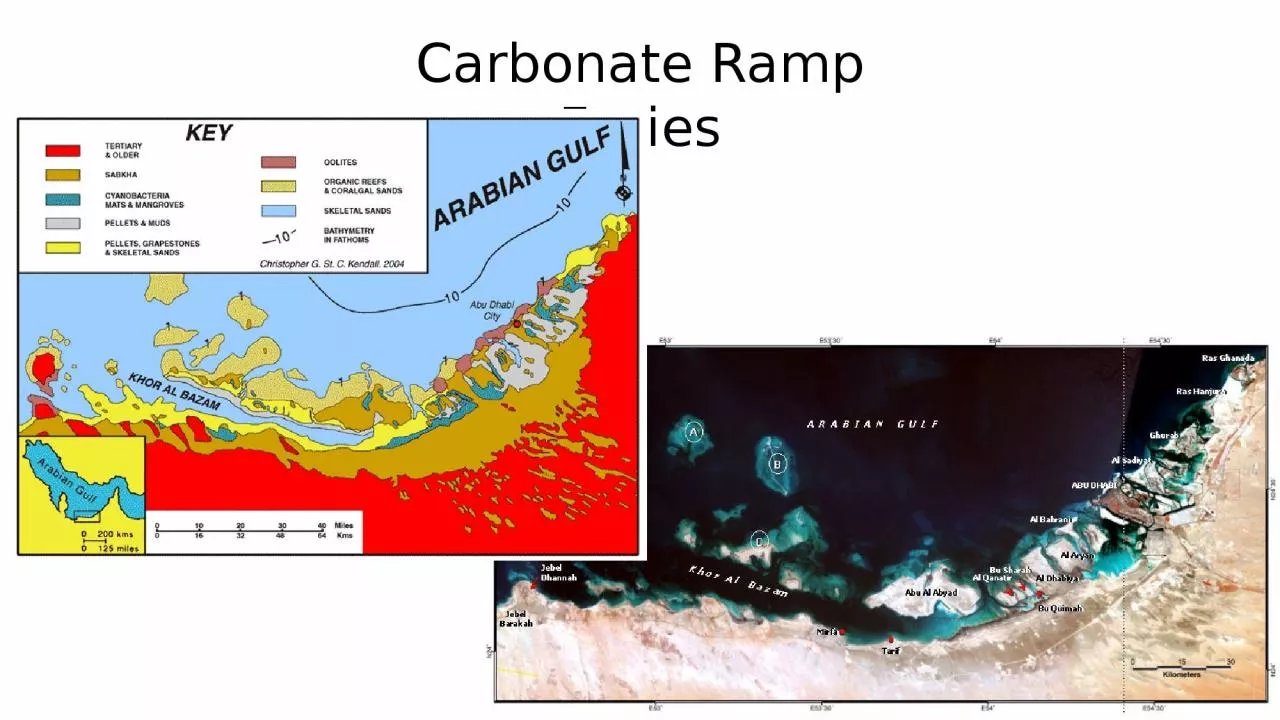 PPT-Carbonate Ramp Facies Carbonate