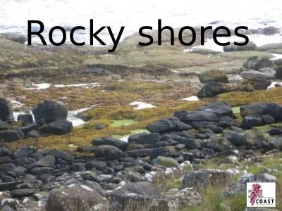 Rocky shores The shore can be divided into different parts or zones