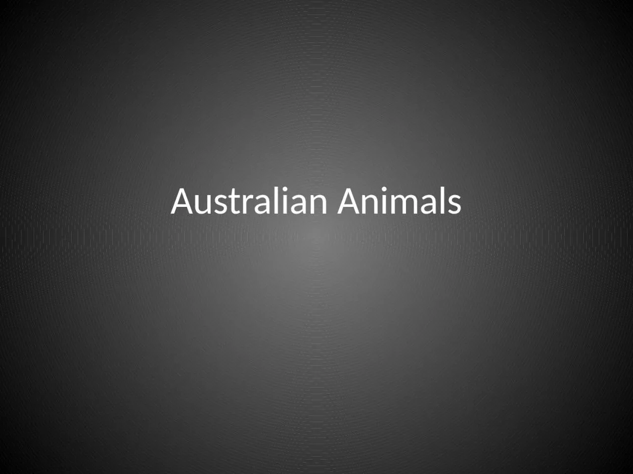 PPT-Australian Animals Kangaroo