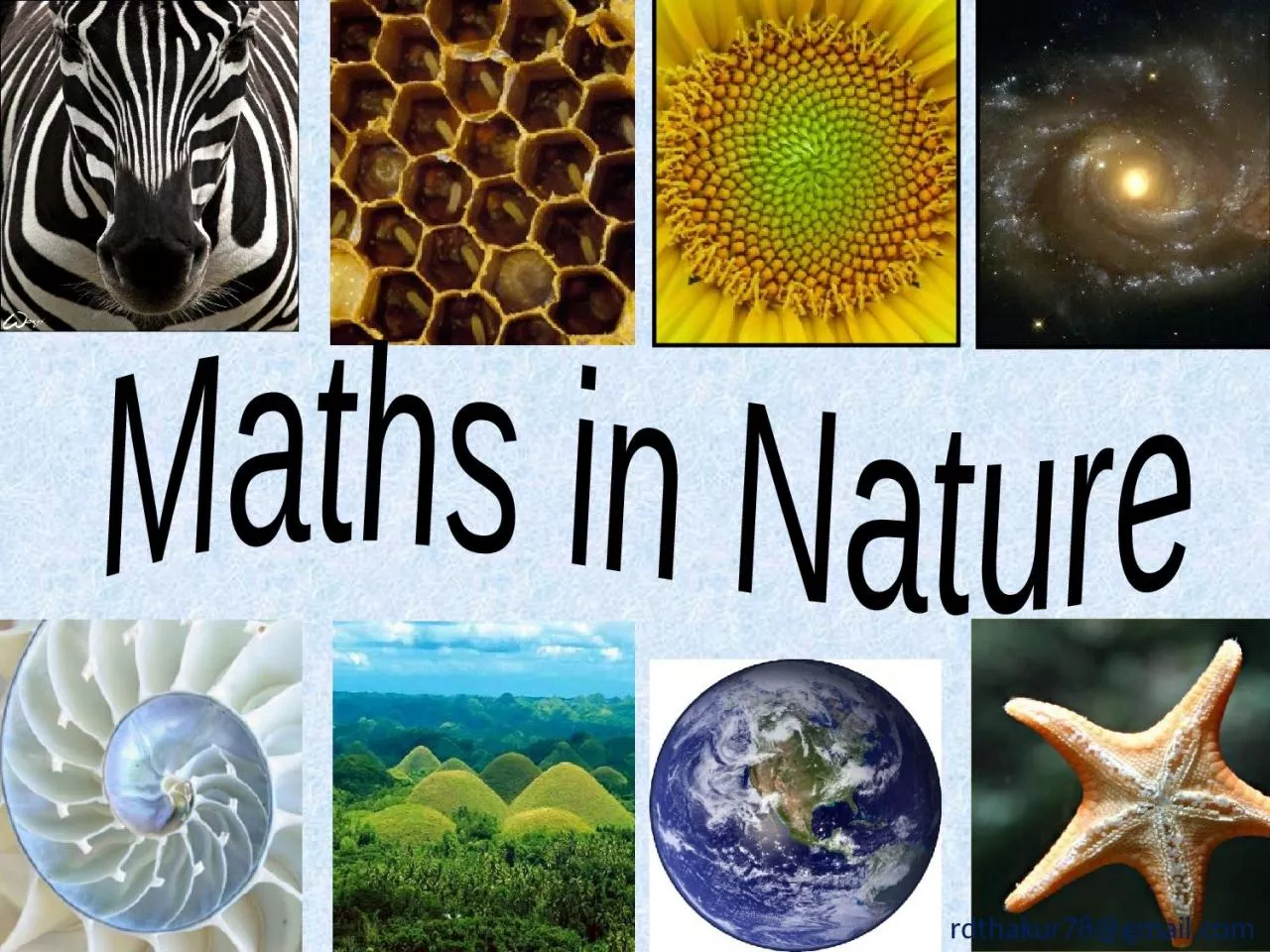 PPT-Maths in Nature rdthakur78@gmail.com