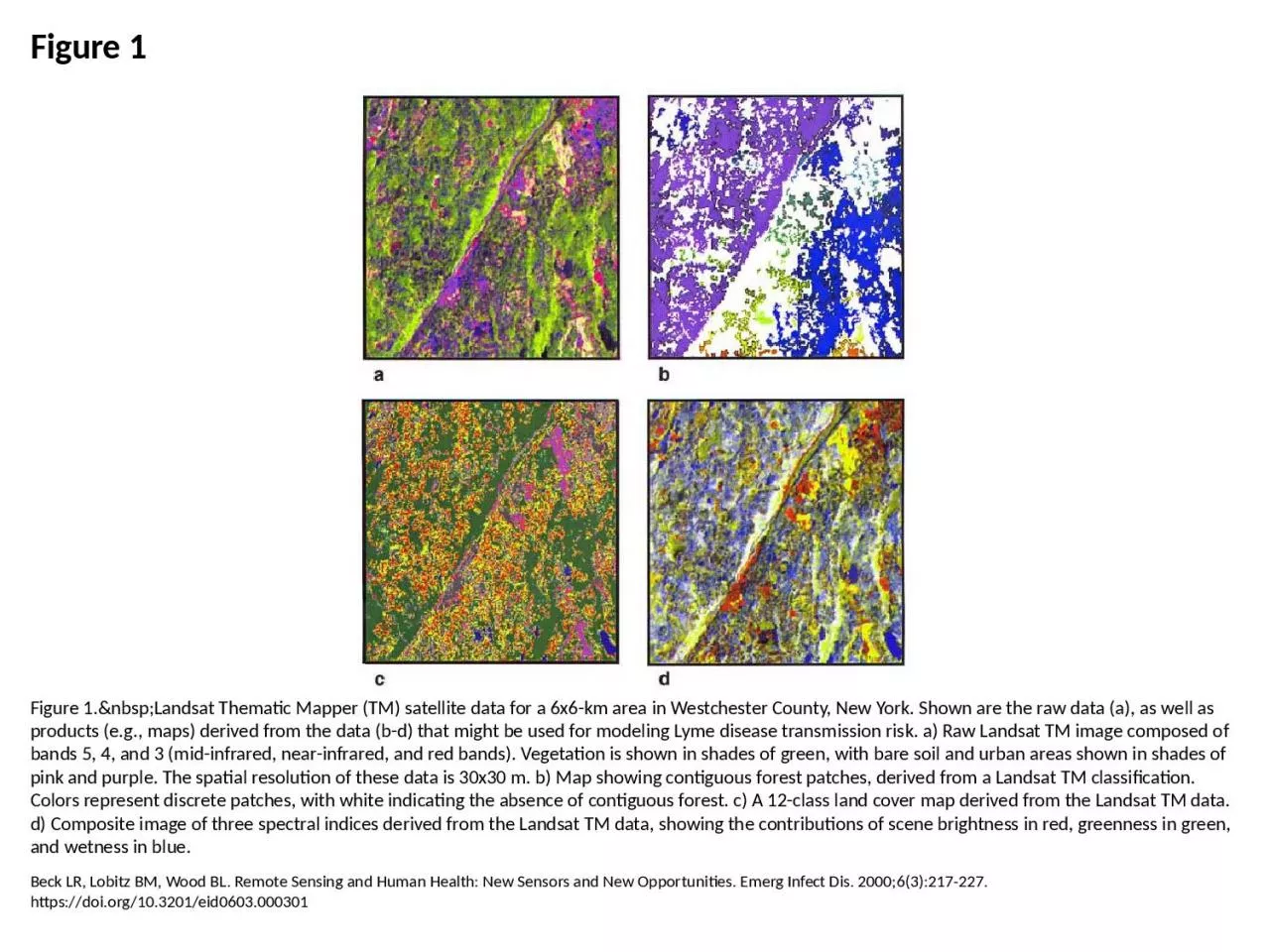 PPT-Figure 1 Figure 1.&nbsp;Landsat Thematic Mapper (TM) satellite data for a 6x6-km area