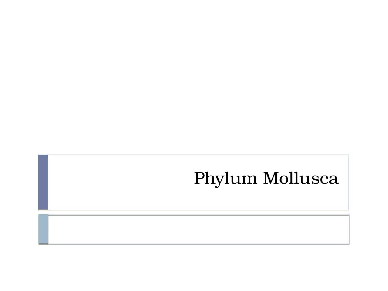 PPT-Phylum Mollusca 27-1 Mollusks