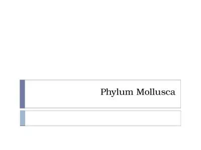 Phylum  Mollusca 27-1  Mollusks