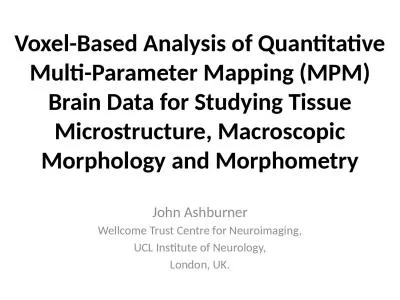 Voxel -Based Analysis of Quantitative Multi-Parameter Mapping (MPM) Brain Data for Studying