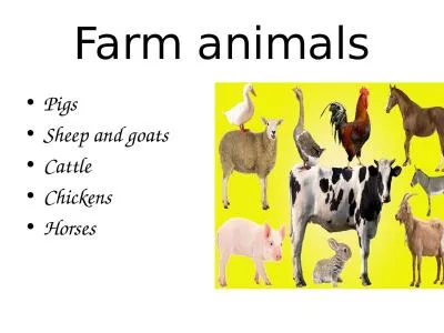 Farm animals Pigs Sheep and goats