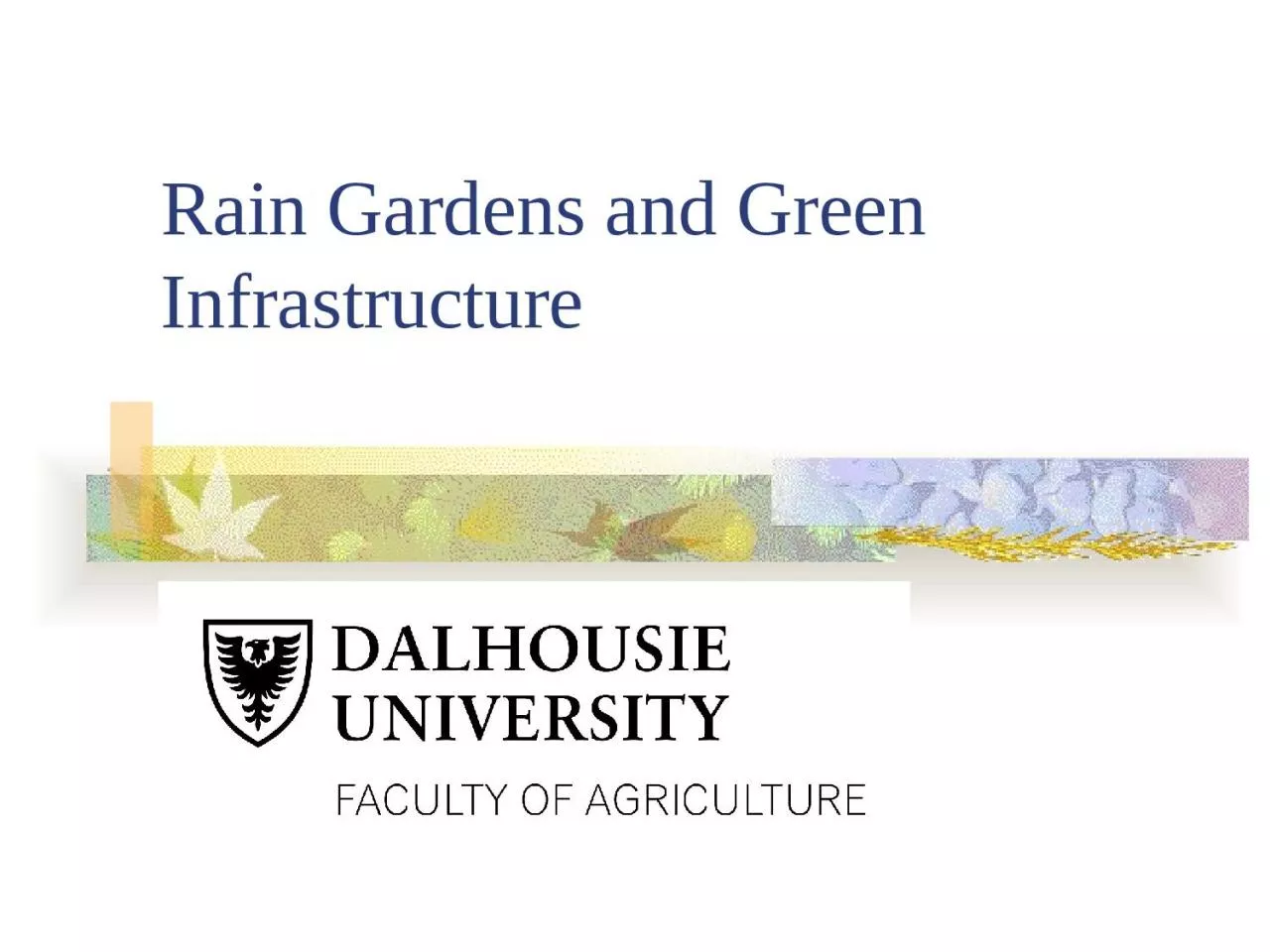 Rain Gardens and Green Infrastructure