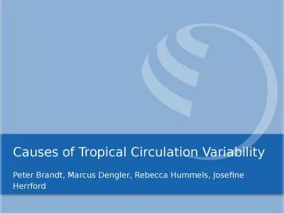 Causes of Tropical Circulation Variability