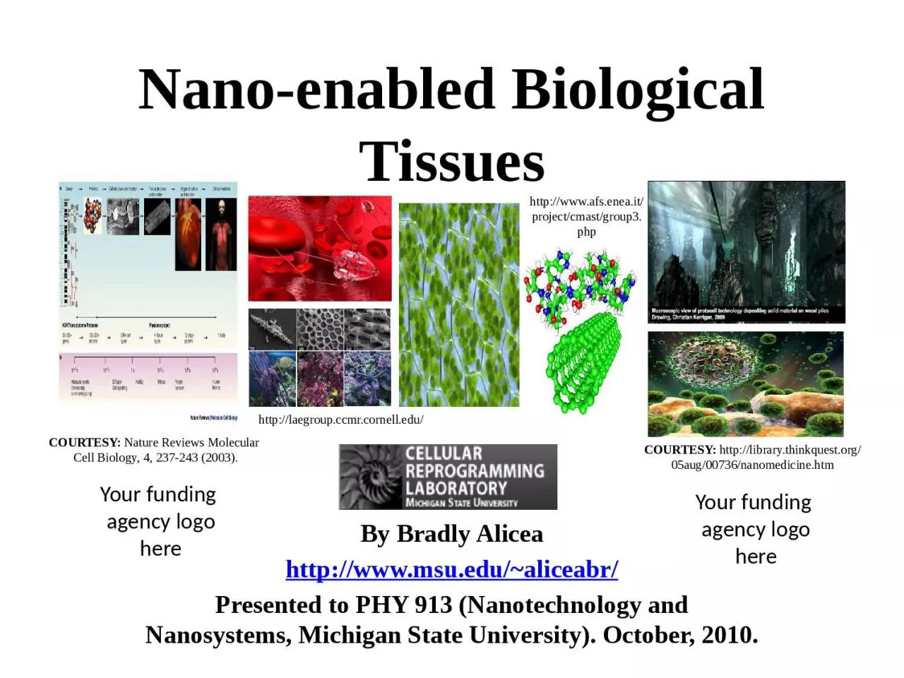 PPT-Nano-enabled Biological Tissues