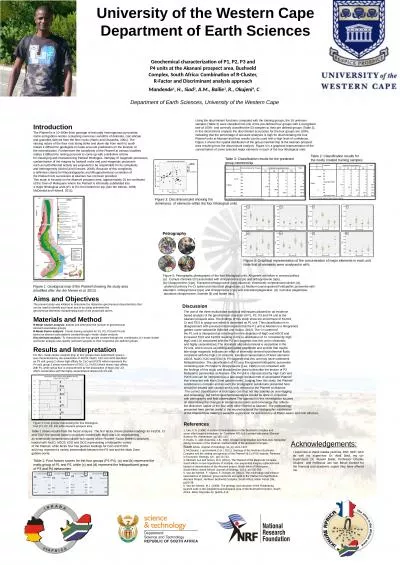 Geochemical characterization of P1, P2, P3 and