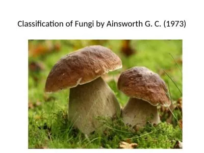 Classification of Fungi by Ainsworth G. C.