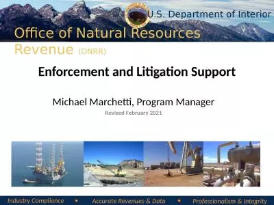 Enforcement and Litigation Support